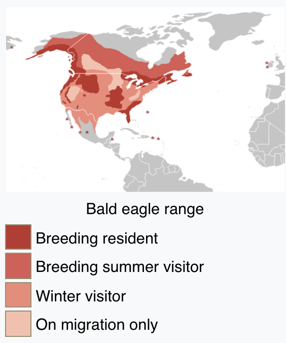 Bald Eagle Distribution